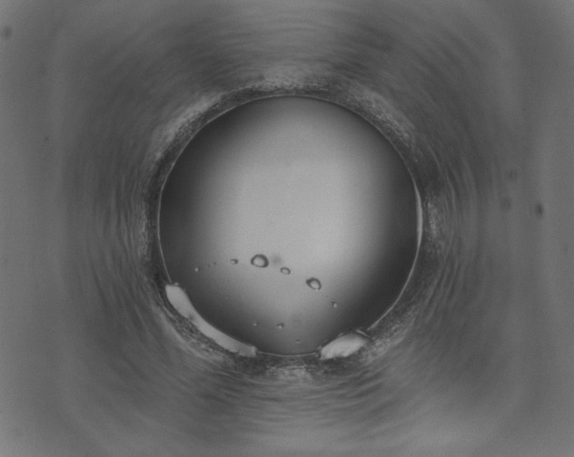 X0000073870588200608171009