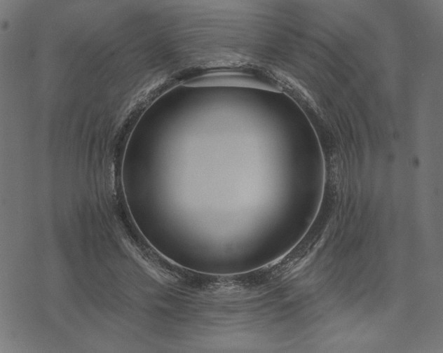 X0000073870589200608171009