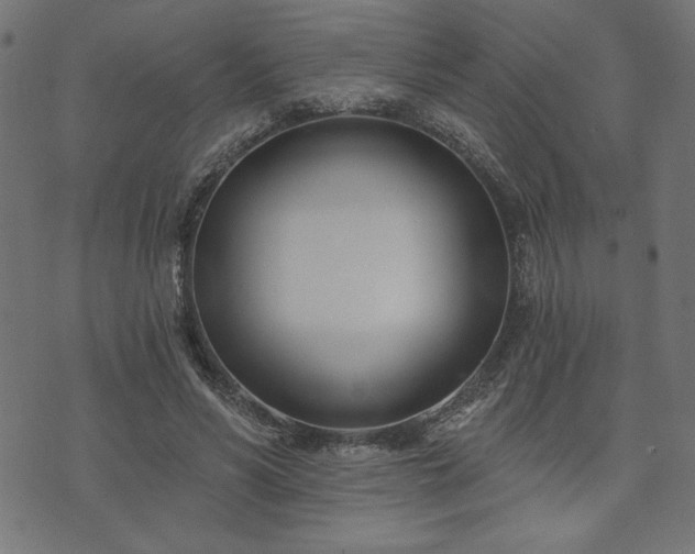 X0000073870590200608171009