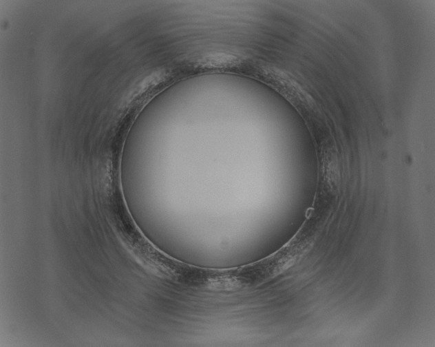 X0000073870591200608171009