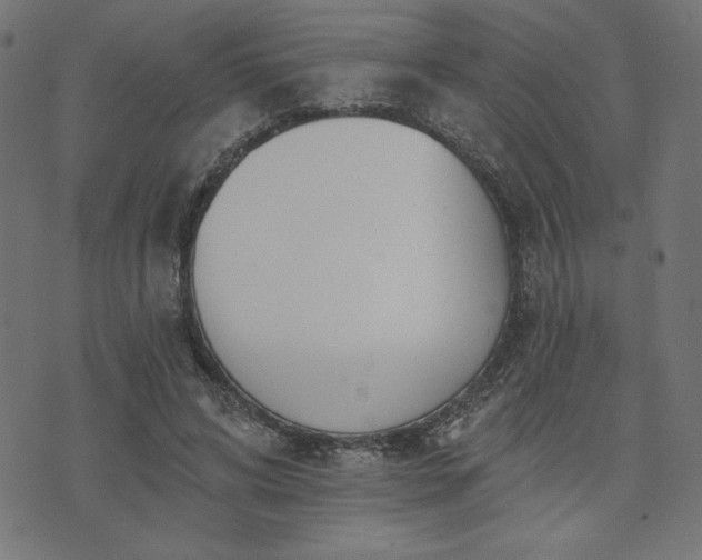 X0000073870592200608171009