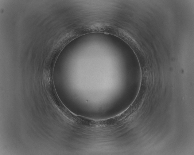 X0000073870593200608171009