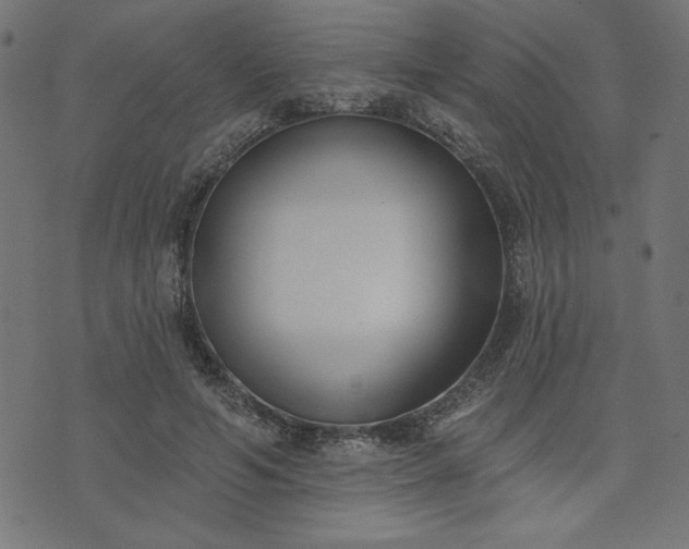 X0000073870594200608171009