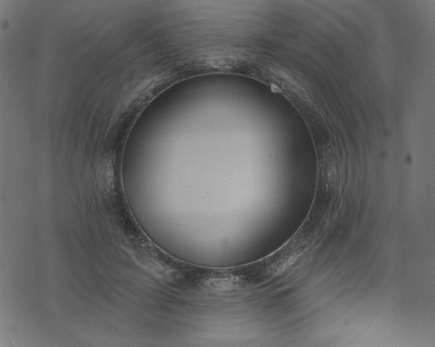 X0000073870595200608171009