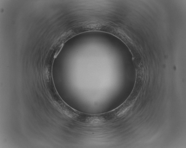 X0000073870597200608171009