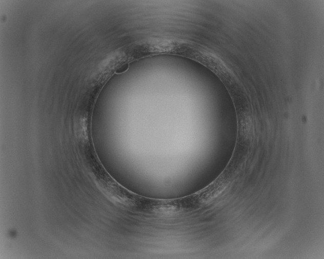 X0000073870598200608171009