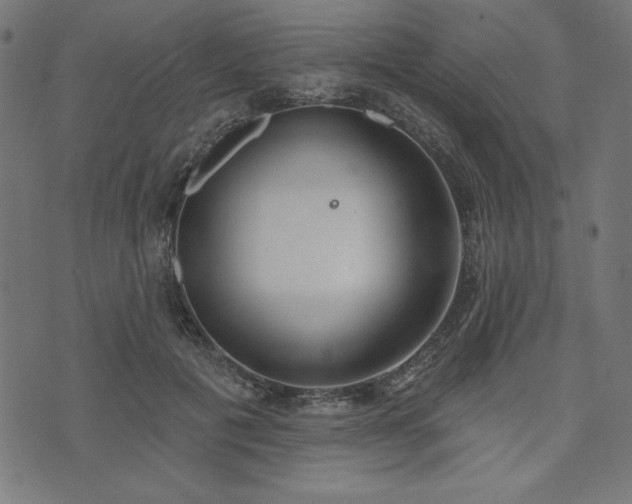 X0000073870601200608171009