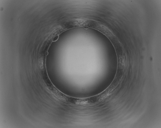 X0000073870602200608171009