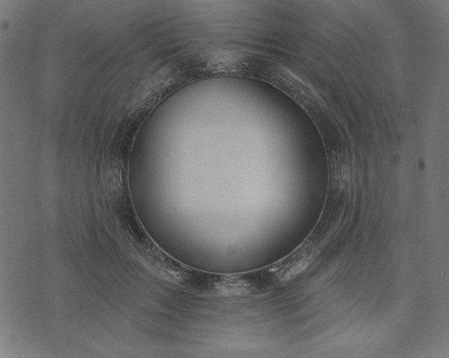 X0000073870603200608171009