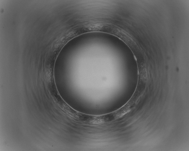 X0000073870604200608171009