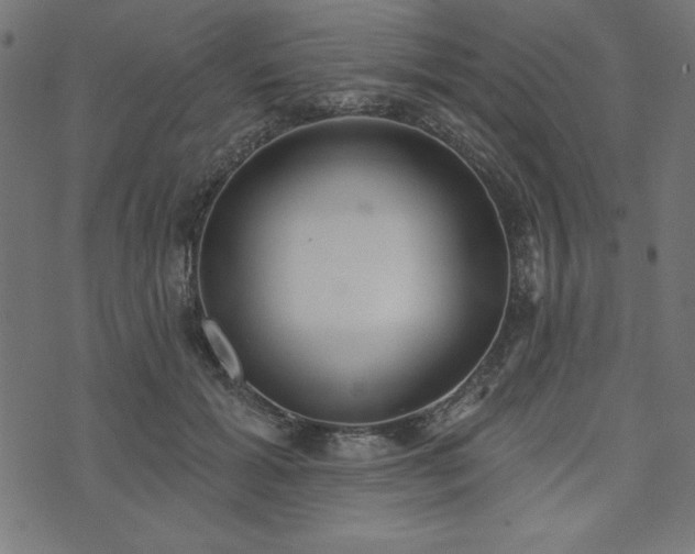 X0000073870605200608171009