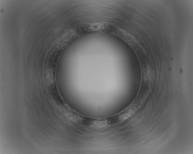 X0000073870606200608171009