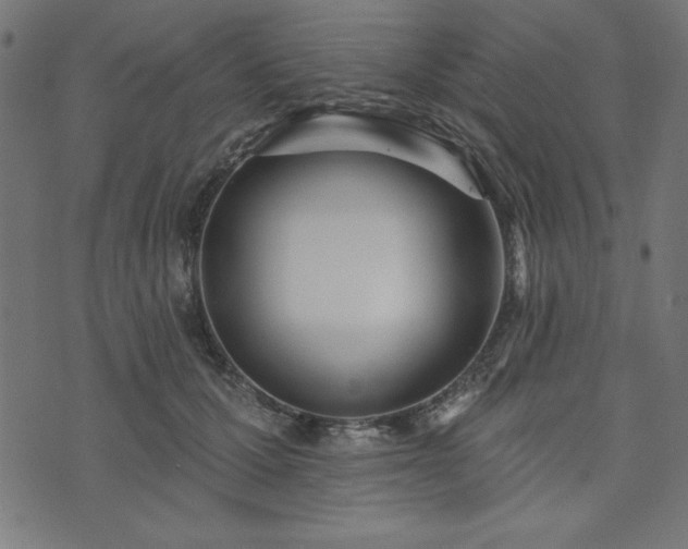 X0000073870607200608171009