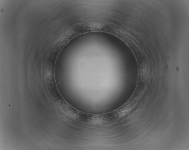 X0000073870608200608171009