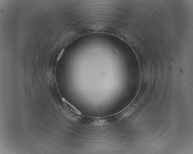 X0000073870609200608171009