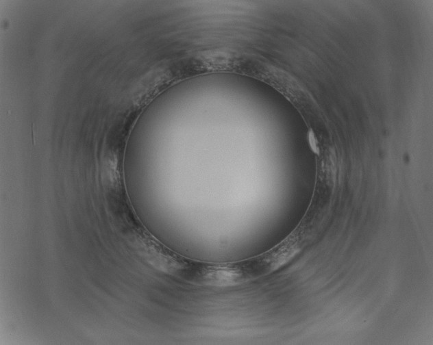 X0000073870610200608171009