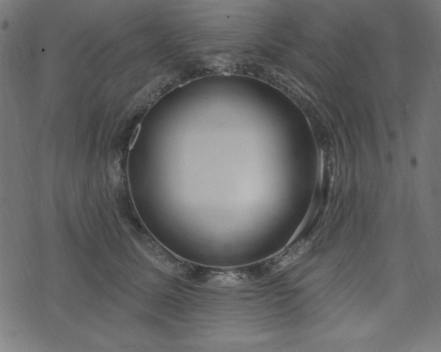 X0000073870611200608171009