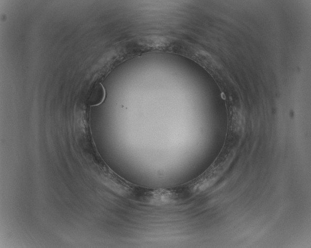 X0000073870612200608171009