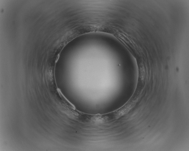 X0000073870613200608171009