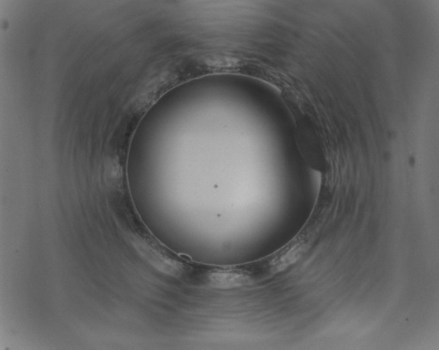 X0000073870614200608171009