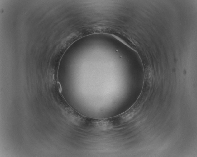 X0000073870615200608171009