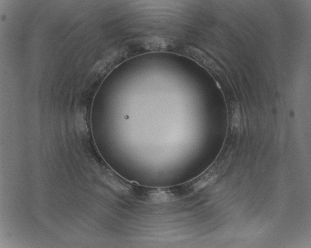 X0000073870616200608171009