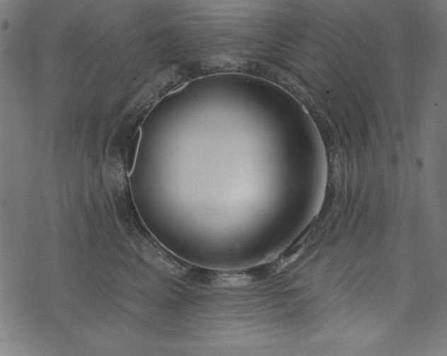 X0000073870617200608171009