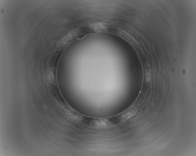 X0000073870618200608171009