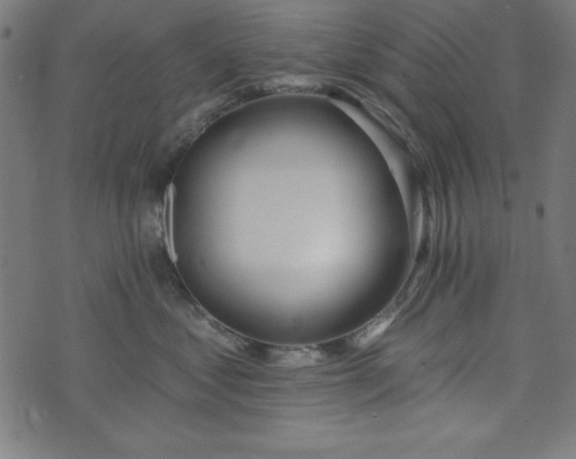 X0000073870621200608171009