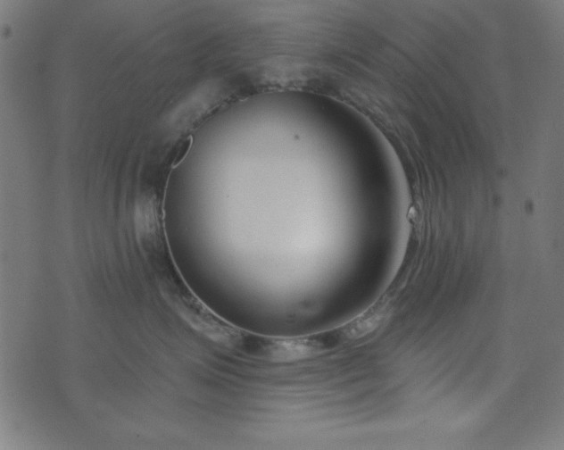 X0000073870623200608171009