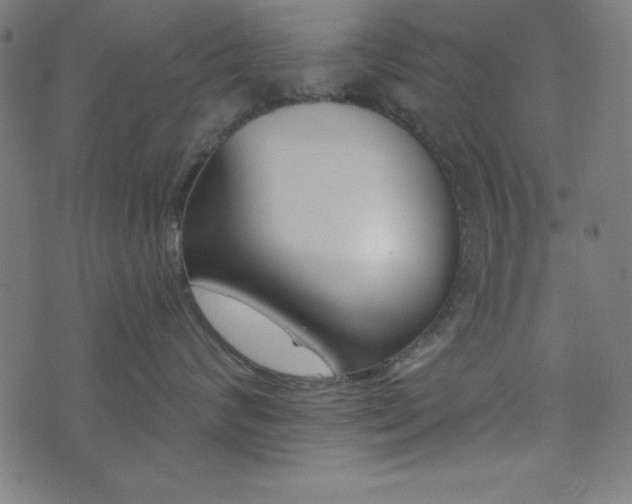 X0000073870624200608171009