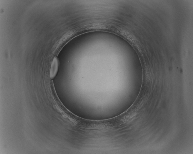 X0000073870625200608171008