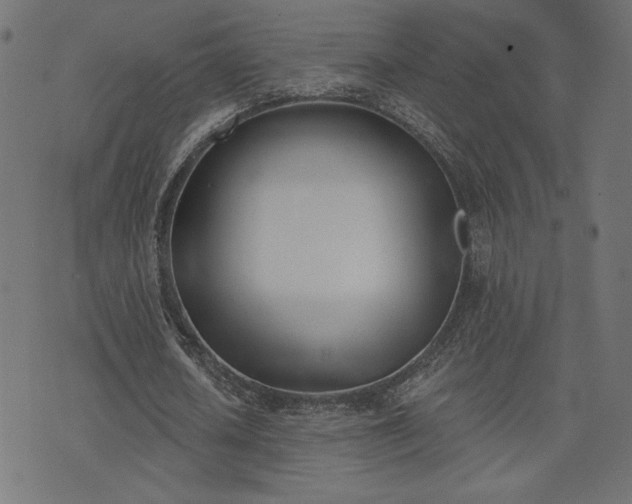 X0000073870626200608171008