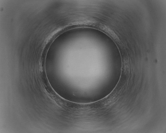 X0000073870628200608171008