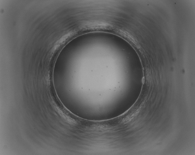 X0000073870629200608171008