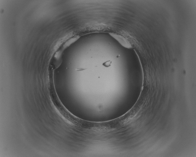 X0000073870630200608171008