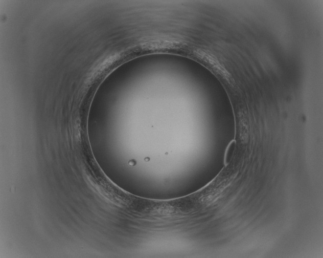 X0000073870631200608171008