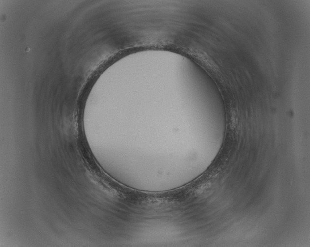 X0000073870632200608171008