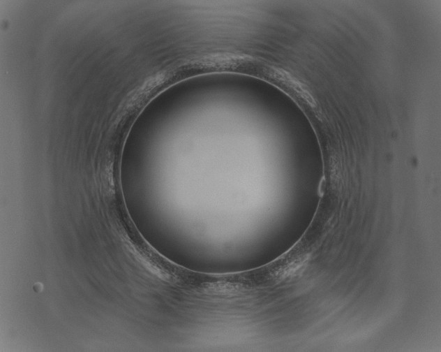 X0000073870633200608171008