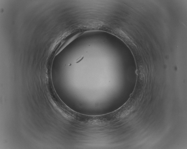 X0000073870634200608171008