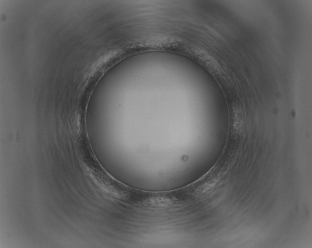 X0000073870636200608171008