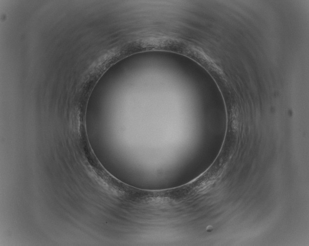 X0000073870637200608171008