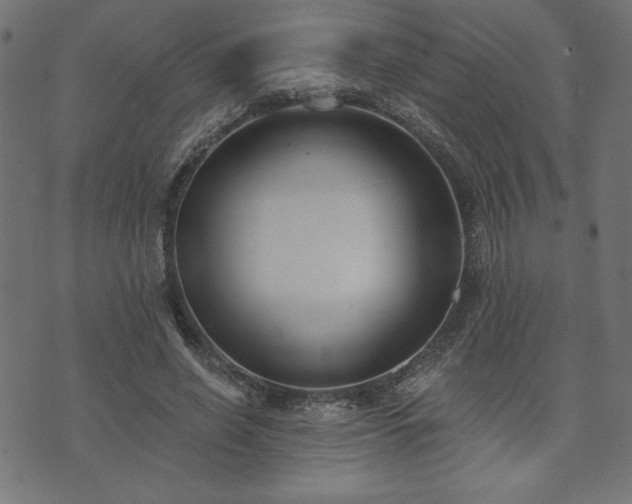 X0000073870638200608171008