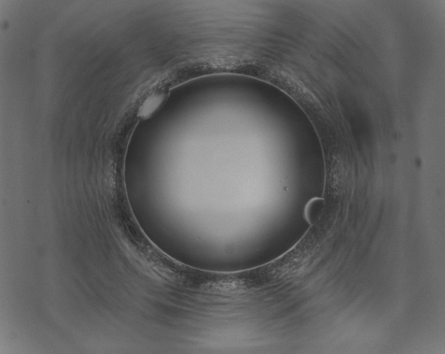 X0000073870639200608171008