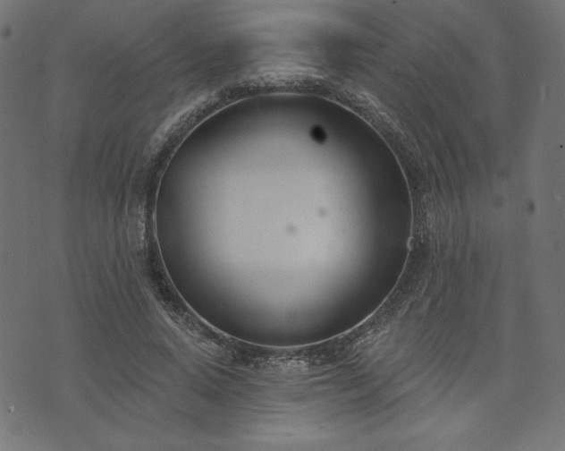 X0000073870640200608171008