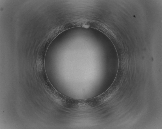 X0000073870641200608171008