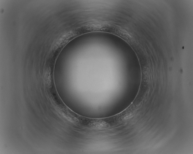 X0000073870642200608171008