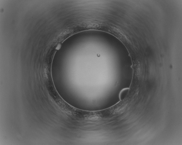 X0000073870643200608171008