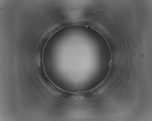 X0000073870644200608171008