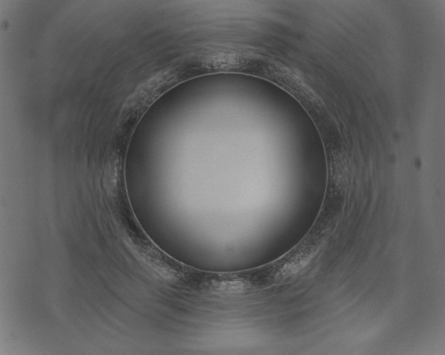 X0000073870645200608171008